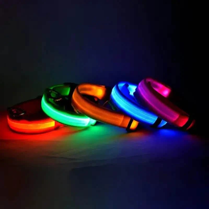 LED Dog Collars Light Adjustable Flashing Luminous Collar Night Anti-Lost Pet Supplies - Lazy Paper Club