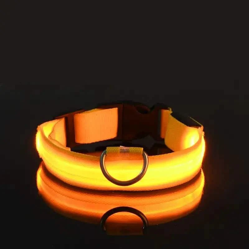 LED Dog Collars Light Adjustable Flashing Luminous Collar Night Anti-Lost Pet Supplies - Lazy Paper Club