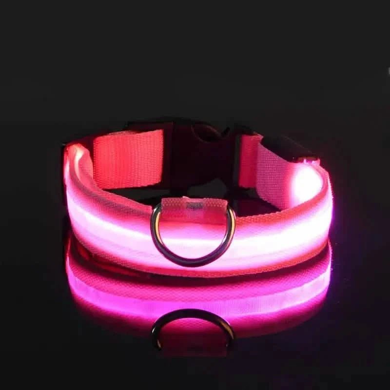 LED Dog Collars Light Adjustable Flashing Luminous Collar Night Anti-Lost Pet Supplies - Lazy Paper Club