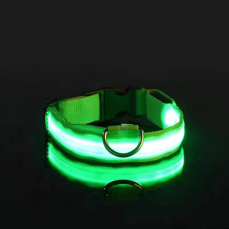 LED Dog Collars Light Adjustable Flashing Luminous Collar Night Anti-Lost Pet Supplies - Lazy Paper Club
