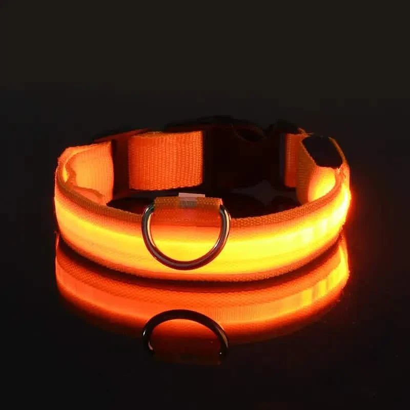 LED Dog Collars Light Adjustable Flashing Luminous Collar Night Anti-Lost Pet Supplies - Lazy Paper Club