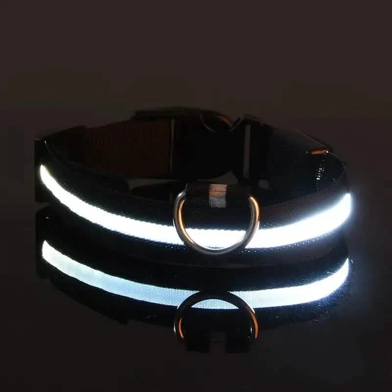 LED Dog Collars Light Adjustable Flashing Luminous Collar Night Anti-Lost Pet Supplies - Lazy Paper Club