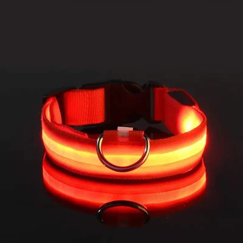 LED Dog Collars Light Adjustable Flashing Luminous Collar Night Anti-Lost Pet Supplies - Lazy Paper Club