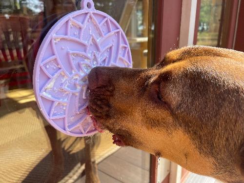 Lotus Design emat - Enrichment Lick Mat For Dogs and Cats - With Suction Cups | USA Made EMAT - Lazy Paper Club