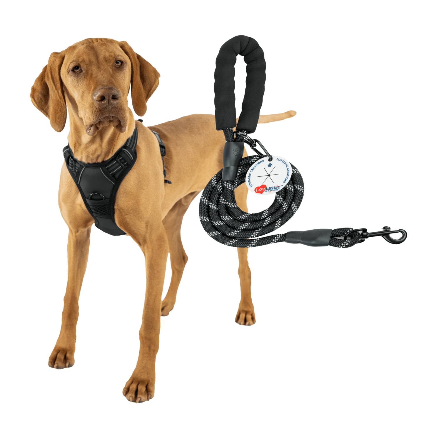 Lovtastic Creations™ No-Pull Dog Harness - with Strong & Durable Dog Leash & Free Poopbag Holder 3pcs Set | Reflective No-Choke Pet Harness Harness - Lazy Paper Club