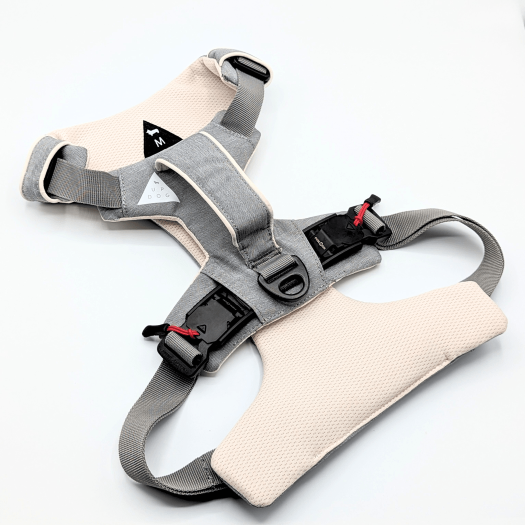 Magnetic Dog Harness with Handle - Easy On, No-Pull Design Pet Harness - Lazy Paper Club