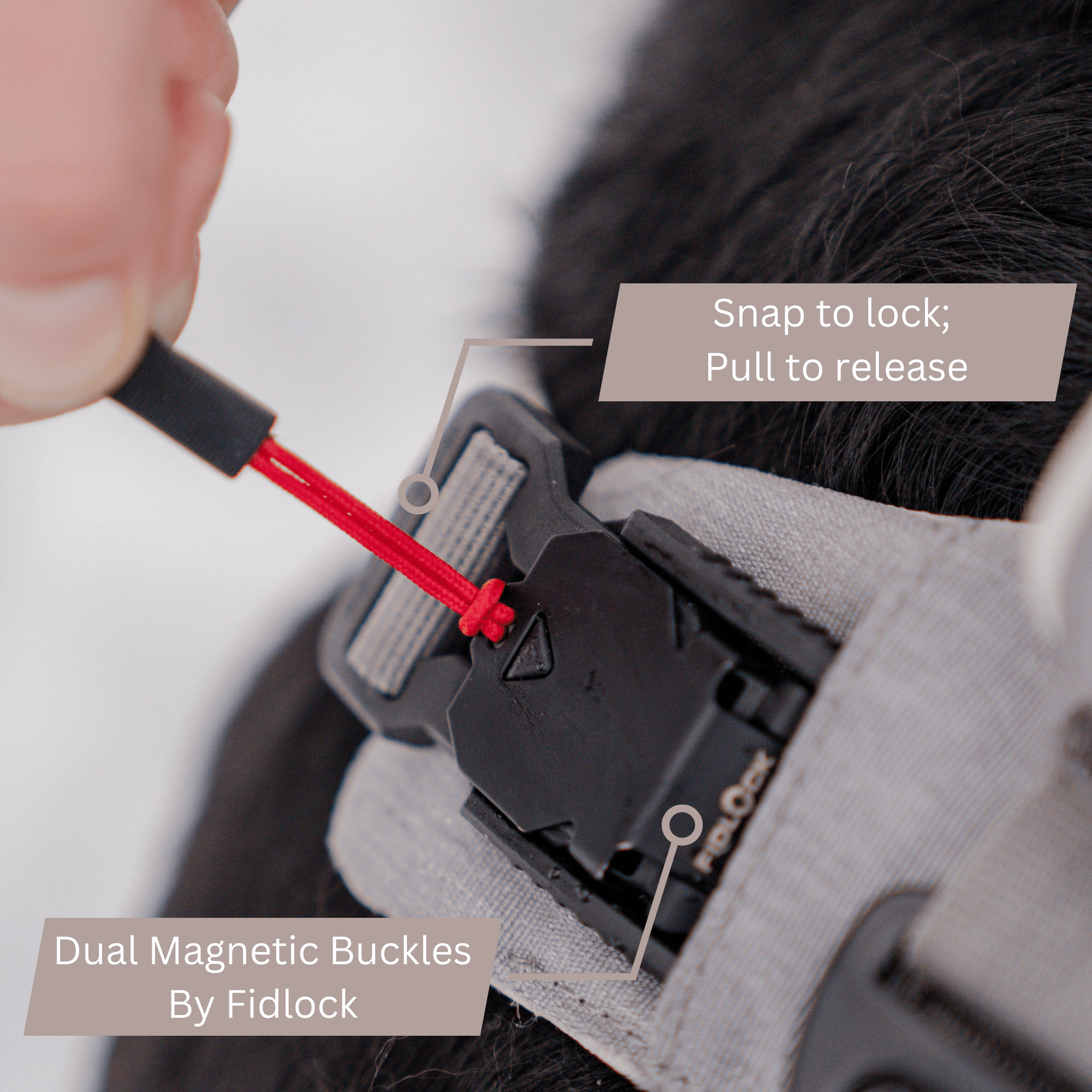 Magnetic Dog Harness with Handle - Easy On, No-Pull Design Pet Harness - Lazy Paper Club