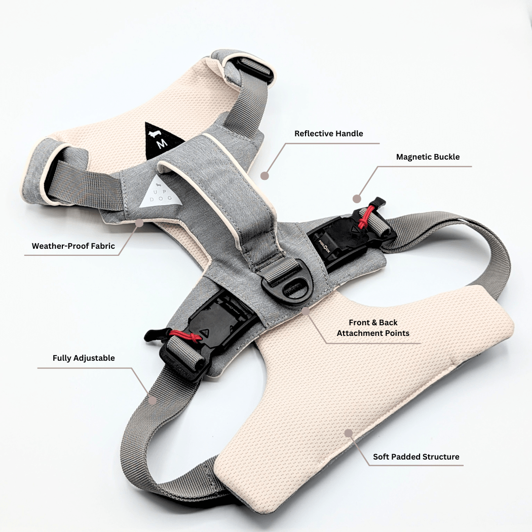 Magnetic Dog Harness with Handle - Easy On, No-Pull Design Pet Harness - Lazy Paper Club