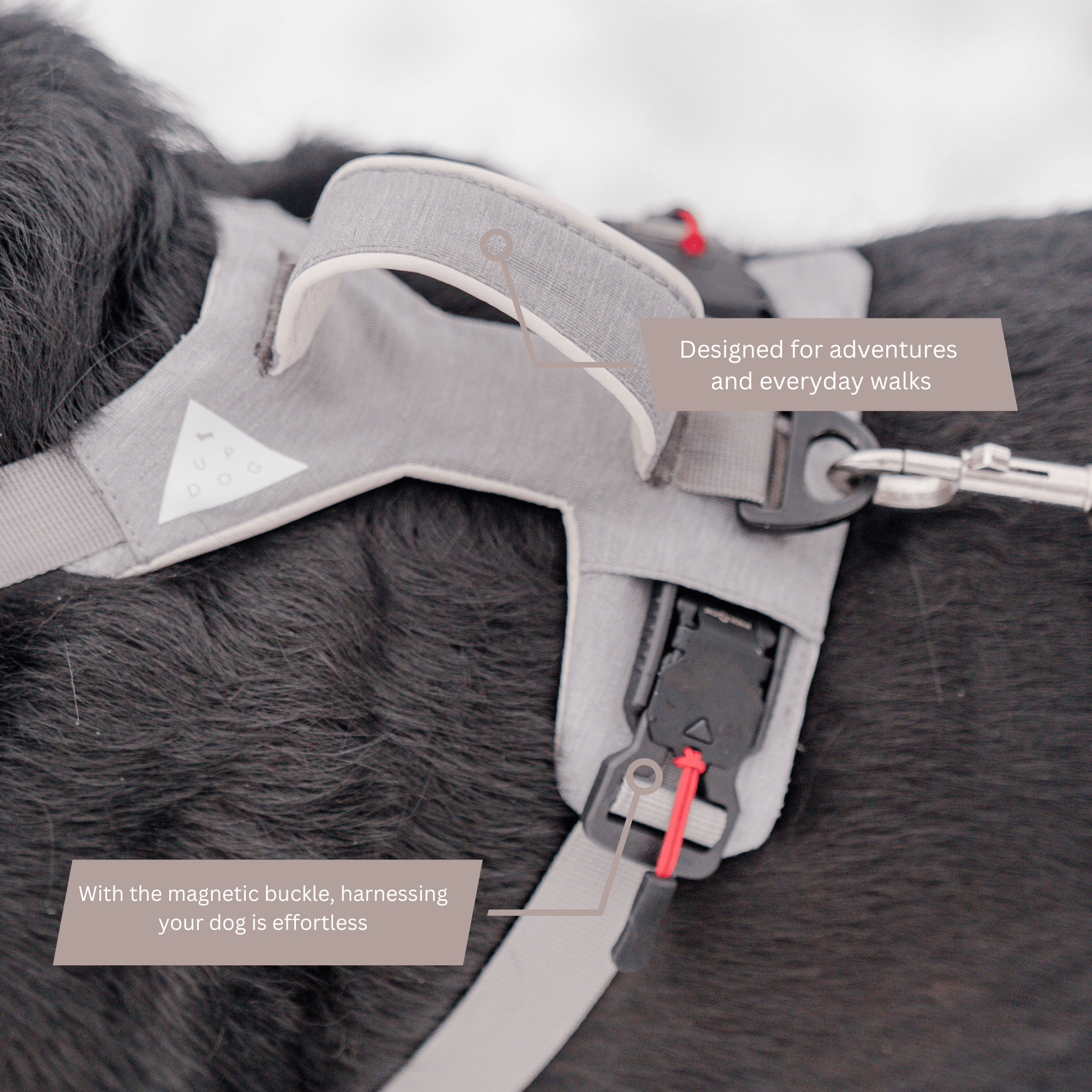 Magnetic Dog Harness with Handle - Easy On, No-Pull Design Pet Harness - Lazy Paper Club