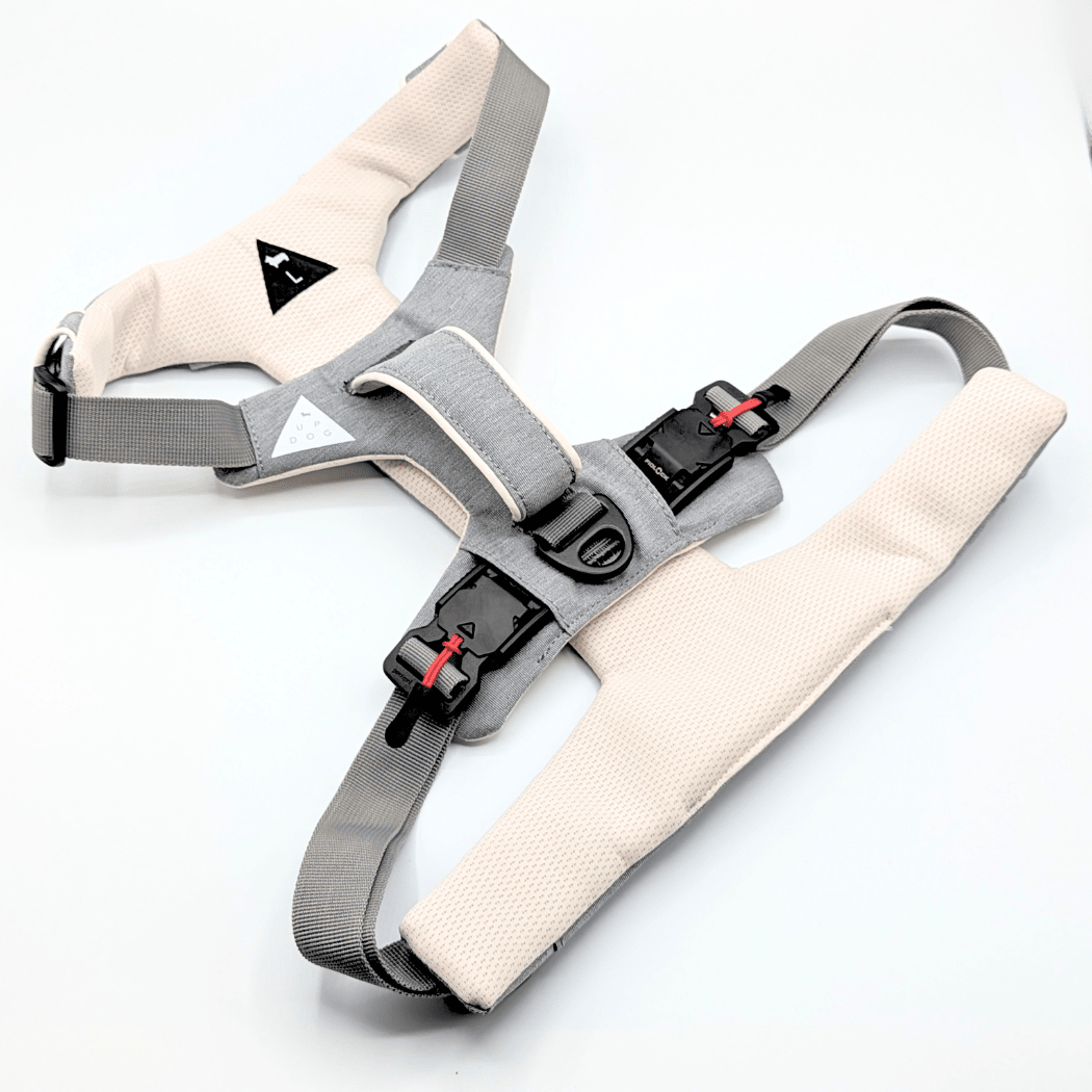 Magnetic Dog Harness with Handle - Easy On, No-Pull Design Pet Harness - Lazy Paper Club