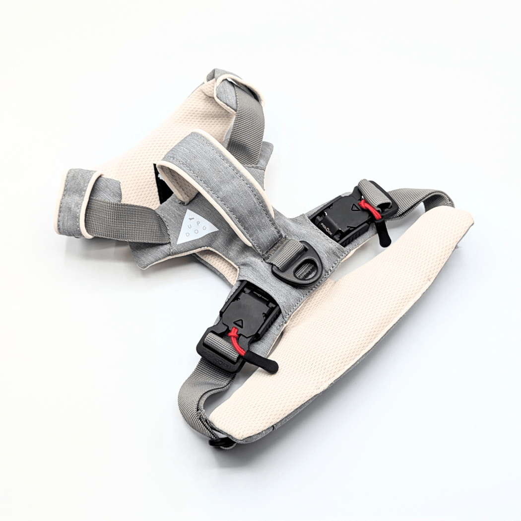 Magnetic Dog Harness with Handle - Easy On, No-Pull Design Pet Harness - Lazy Paper Club