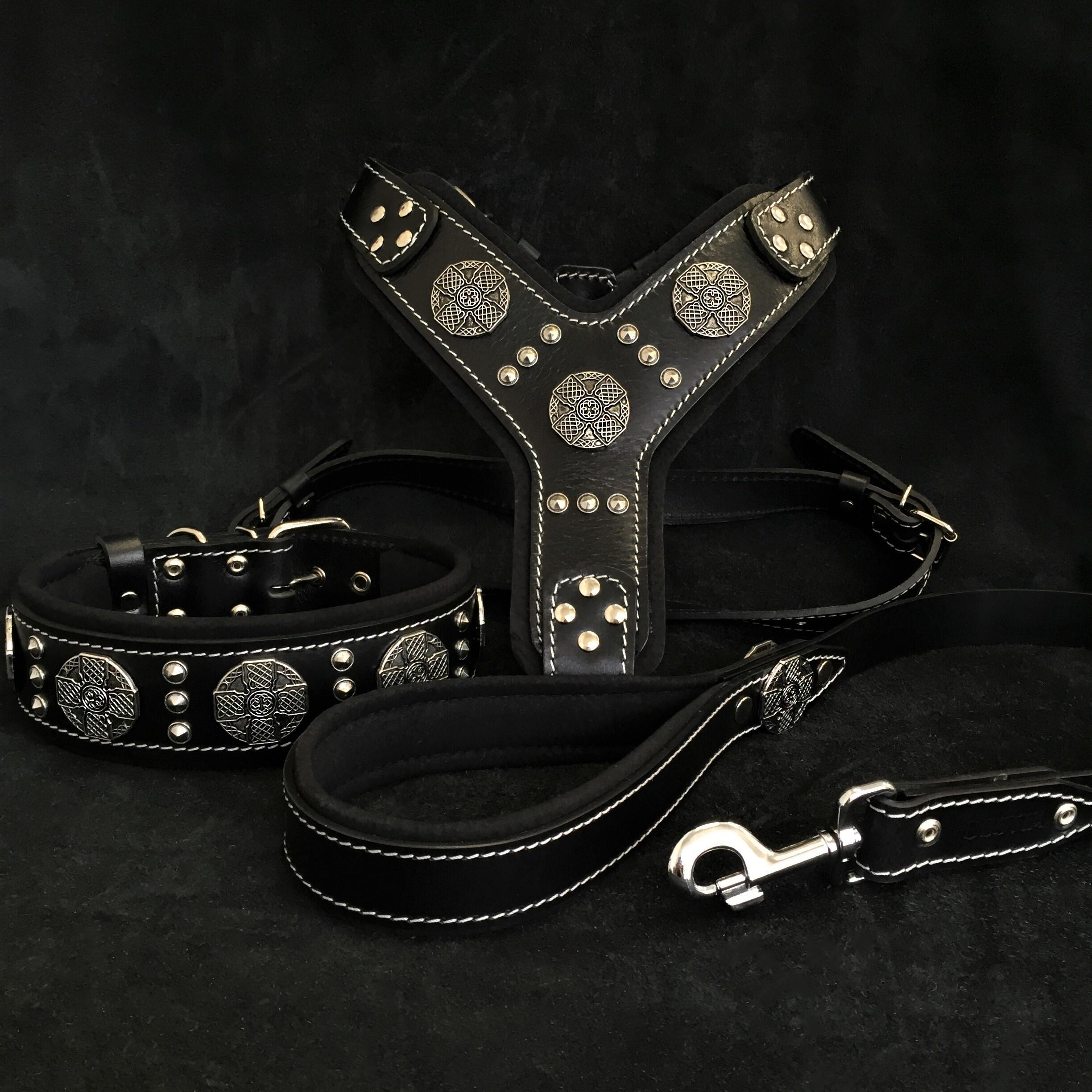 "Maximus Silver" BIG dog SET- Harness - collar - lead. Black Leads & Head Collars - Lazy Paper Club