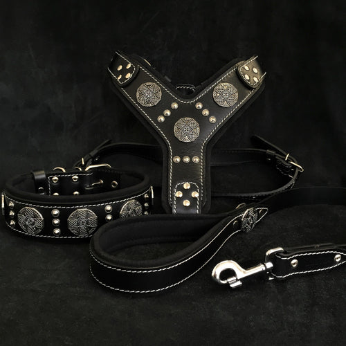 "Maximus Silver" BIG dog SET- Harness - collar - lead. Black Leads & Head Collars - Lazy Paper Club