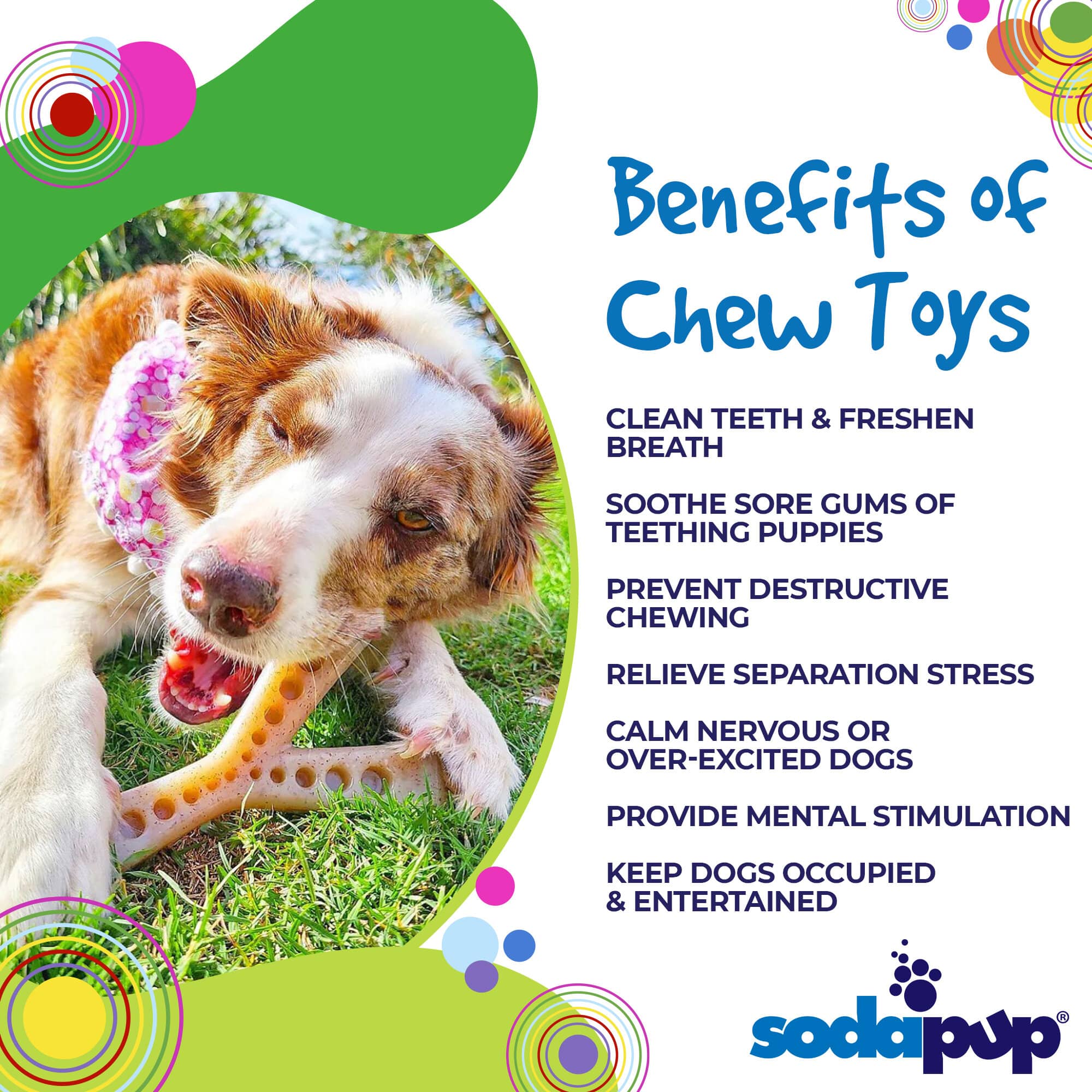 MOD Wishbone Nylon Dog Chew Toy for Aggressive Chewers | USA Made Nylon Dog Toys - Lazy Paper Club