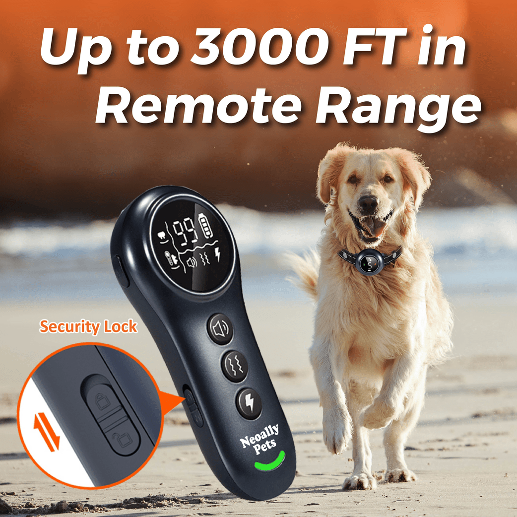NeoAlly 2-in-1 Dog Training & Bark Control Collar | Automatic Barking Detection, Remote Shock, 5-150lbs Dogs | Rechargeable, Waterproof - Lazy Paper Club