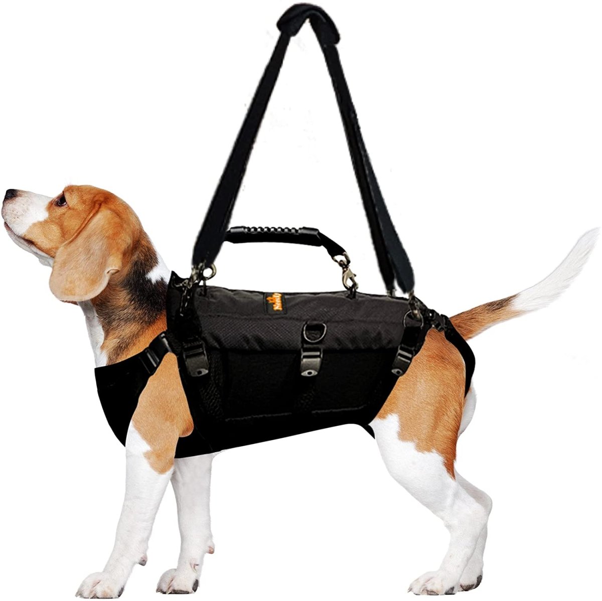 NeoAlly 5-in-1 Sturdy Dog Lift Harness Full Body Support - Lazy Paper Club