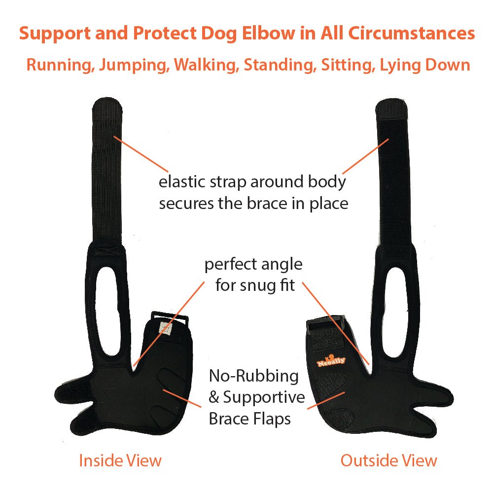 NeoAlly Elbow and Shoulder Brace for Dogs and Cats - Optimal Support for Pet Mobility - Lazy Paper Club
