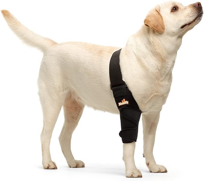 NeoAlly Elbow and Shoulder Brace for Dogs and Cats - Optimal Support for Pet Mobility - Lazy Paper Club