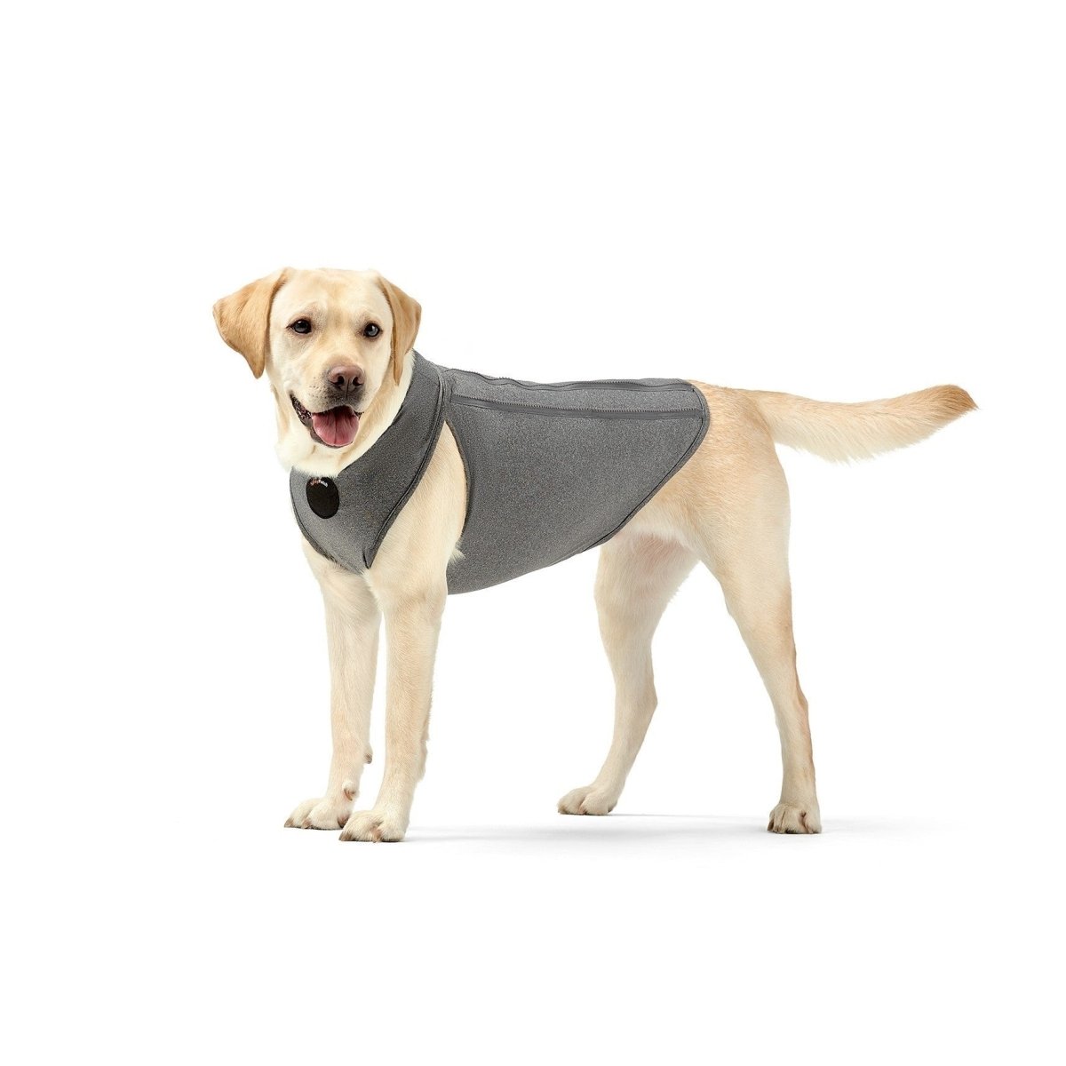 NeoAlly Upgraded Dog Surgical Recovery Vest for Dogs and Cats - Lazy Paper Club