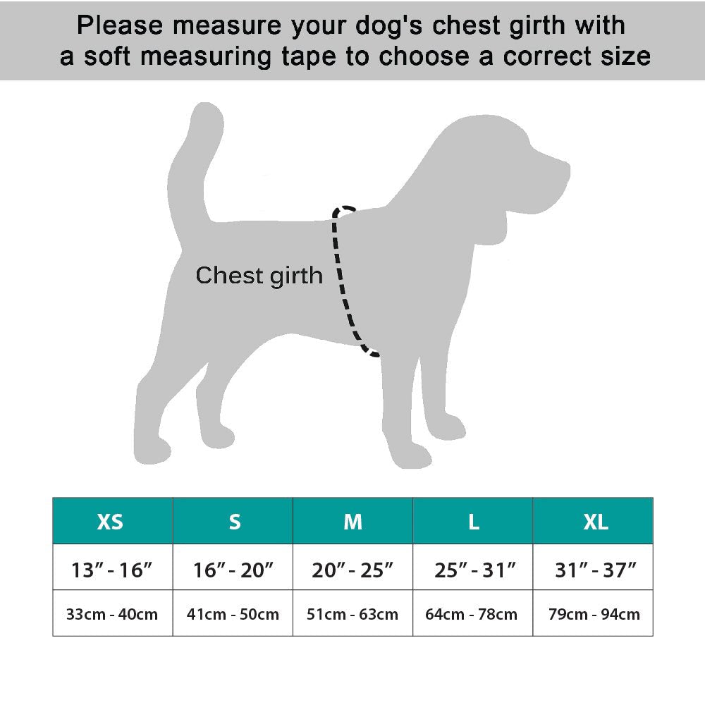 NeoAlly Upgraded Dog Surgical Recovery Vest for Dogs and Cats - Lazy Paper Club