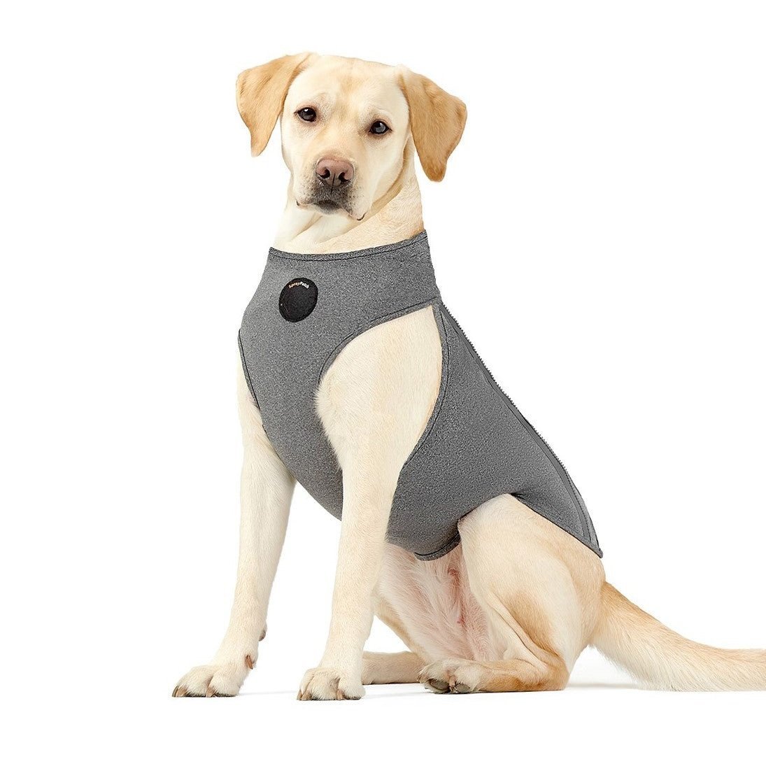 NeoAlly Upgraded Dog Surgical Recovery Vest for Dogs and Cats - Lazy Paper Club
