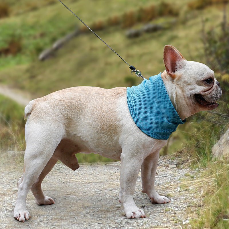 New Instant Cooling Pet Bandana Dog Scarf Summer Cooling Towel Wrap Dog Collar 0 - Lazy Paper Club