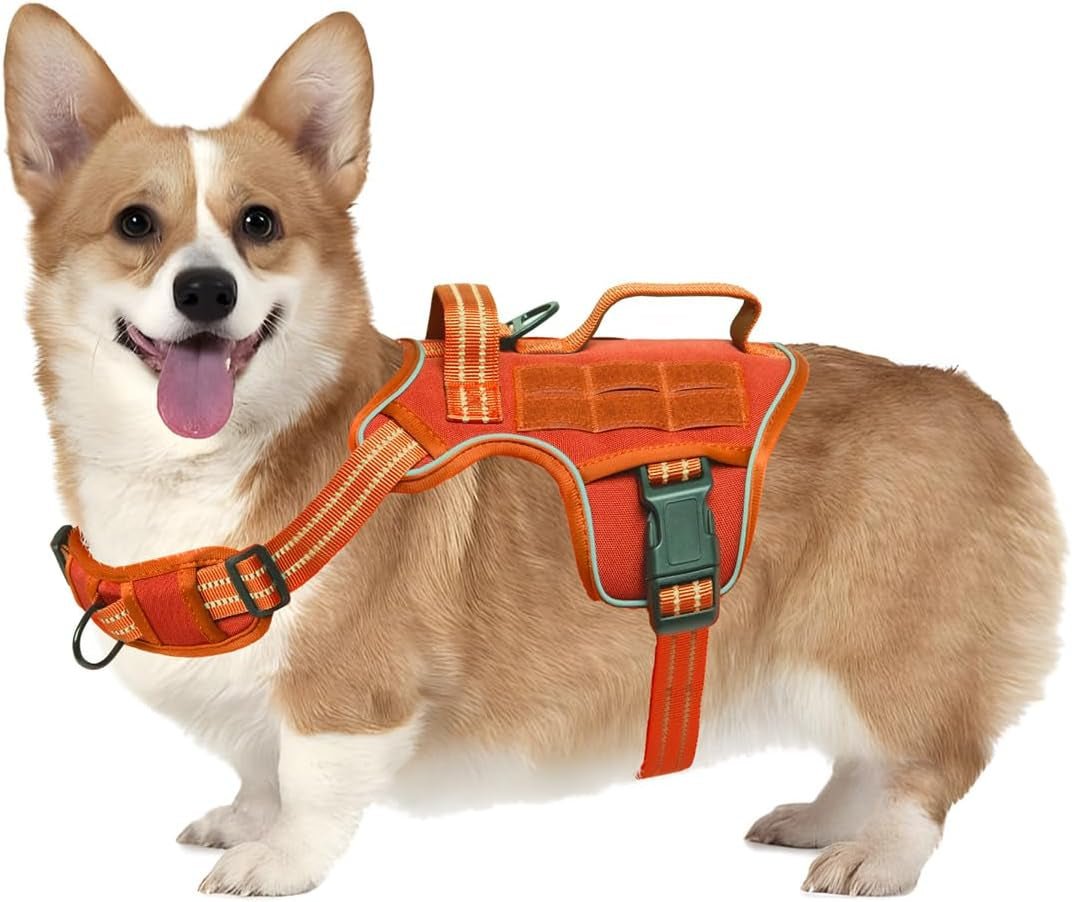 No Pull Tactical Dog Harness Heavy Duty Molle Vest for Medium to XLarge Dogs - Lazy Paper Club