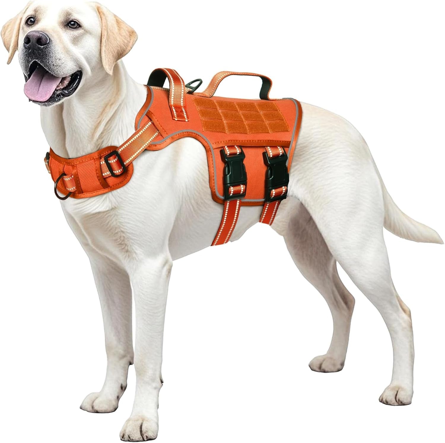 No Pull Tactical Dog Harness Heavy Duty Molle Vest for Medium to XLarge Dogs - Lazy Paper Club