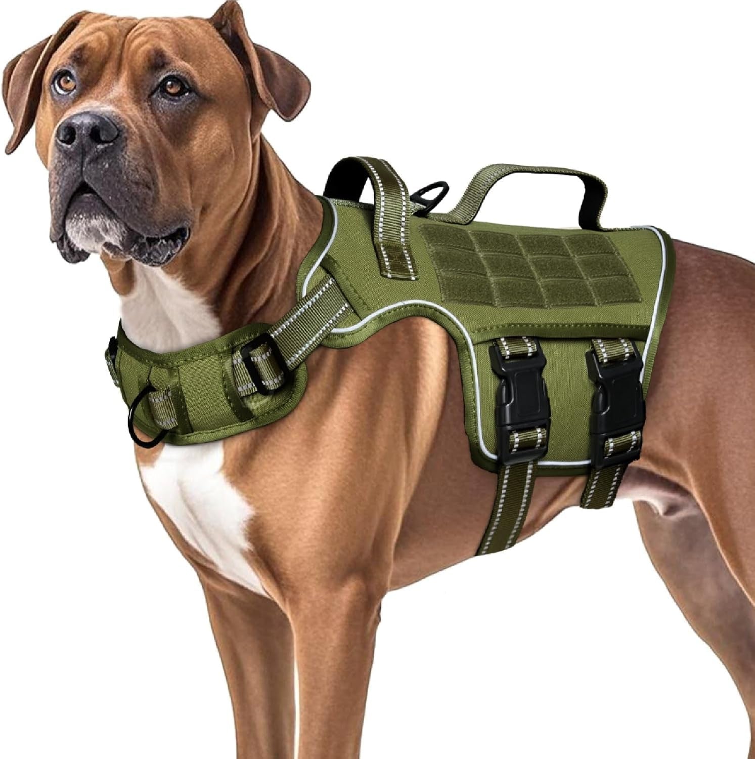 No Pull Tactical Dog Harness Heavy Duty Molle Vest for Medium to XLarge Dogs - Lazy Paper Club