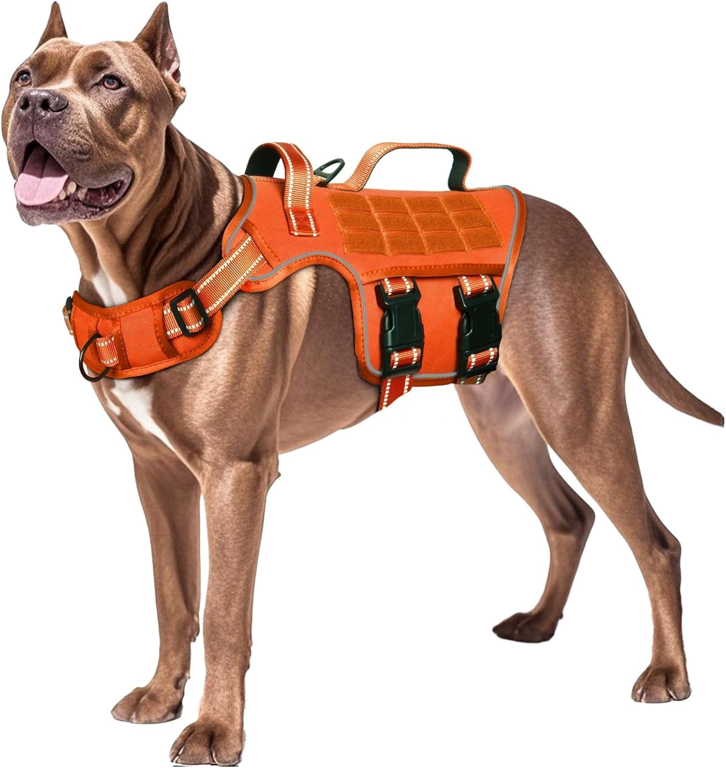 No Pull Tactical Dog Harness Heavy Duty Molle Vest for Medium to XLarge Dogs - Lazy Paper Club