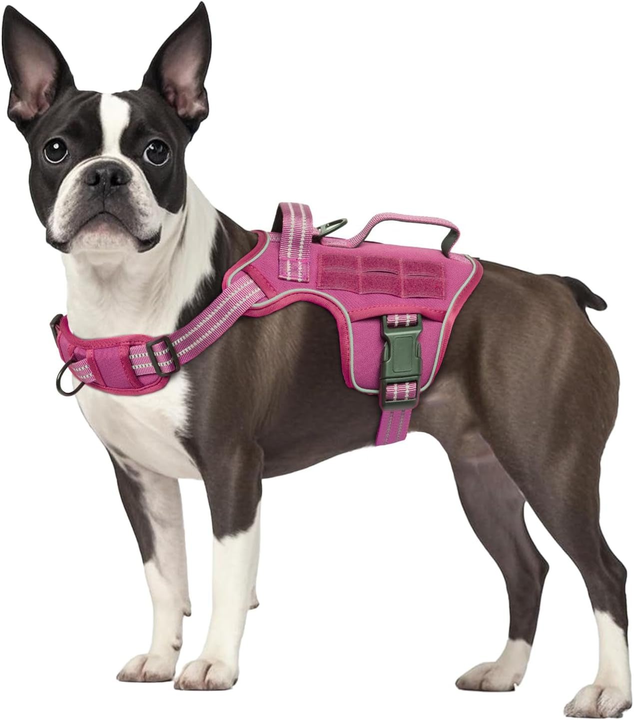 No Pull Tactical Dog Harness Heavy Duty Molle Vest for Medium to XLarge Dogs - Lazy Paper Club