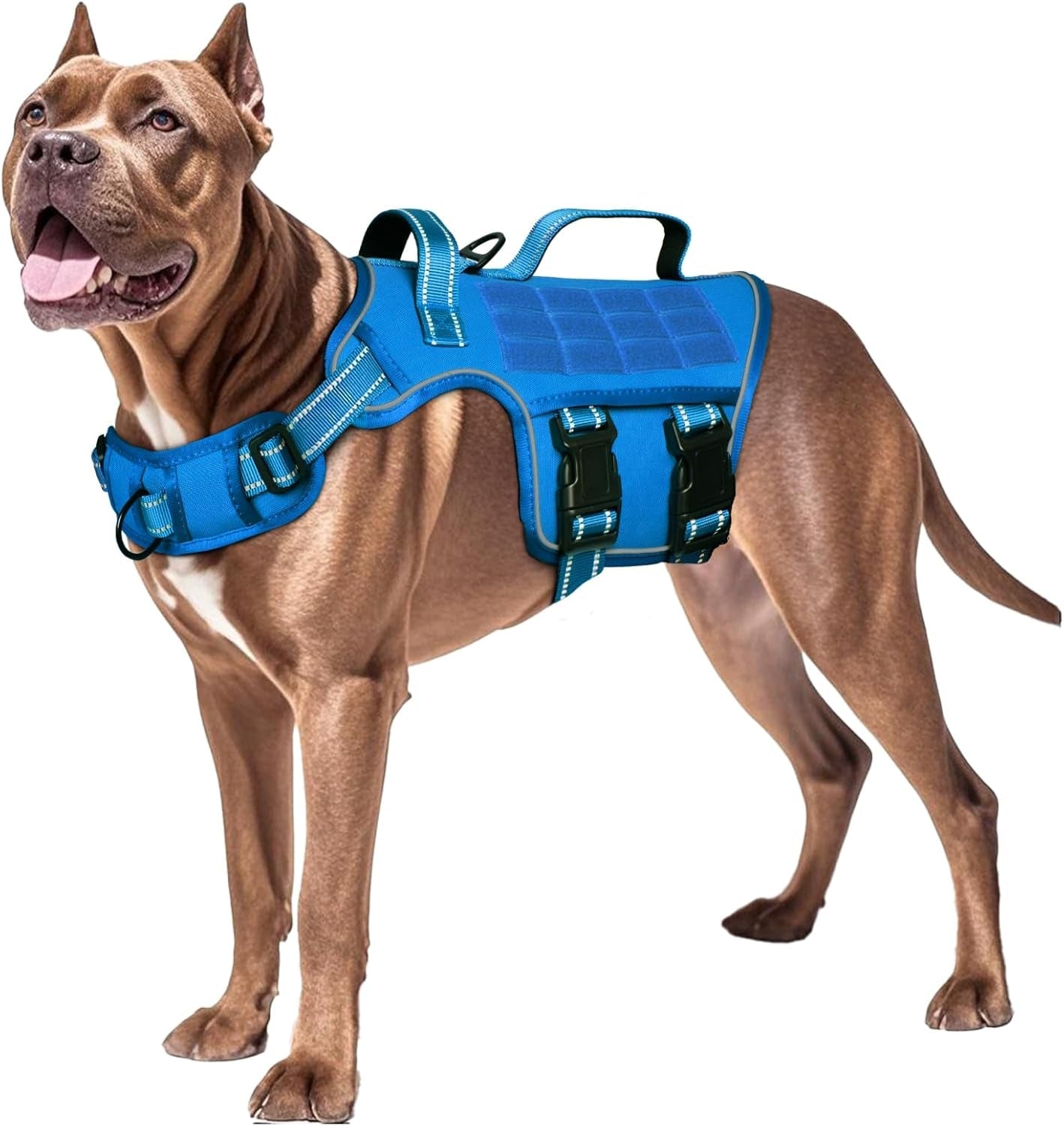 No Pull Tactical Dog Harness Heavy Duty Molle Vest for Medium to XLarge Dogs - Lazy Paper Club