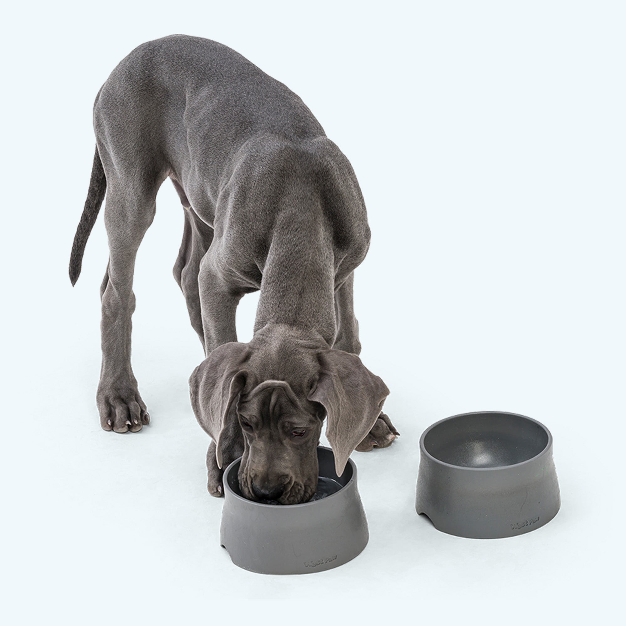 Non-Slip Bowl Bowl & Mat - Lazy Paper Club