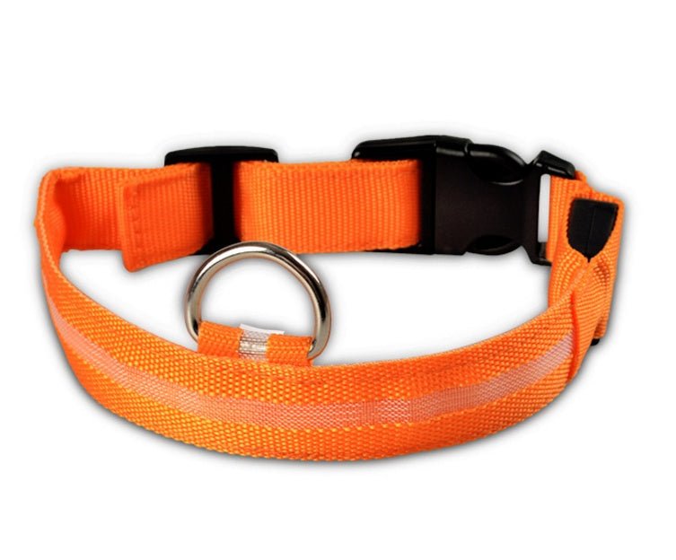 Nylon LED Pet Dog Luminous Collar Night Safety Flashing Glow in Dark Dog Cat Leash Adjustable Pet Supplies 0 - Lazy Paper Club