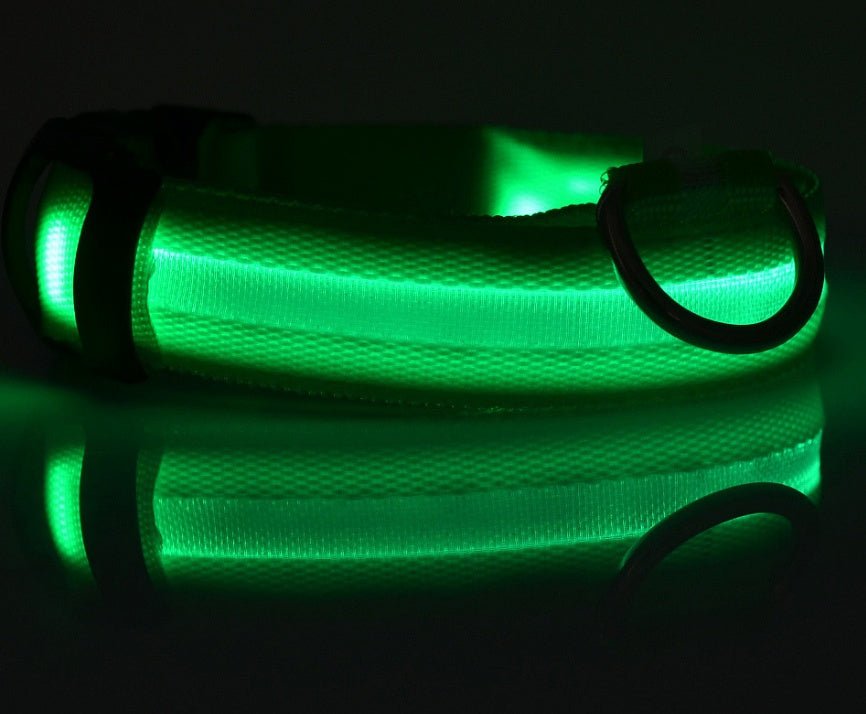 Nylon LED Pet Dog Luminous Collar Night Safety Flashing Glow in Dark Dog Cat Leash Adjustable Pet Supplies 0 - Lazy Paper Club