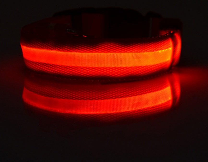 Nylon LED Pet Dog Luminous Collar Night Safety Flashing Glow in Dark Dog Cat Leash Adjustable Pet Supplies 0 - Lazy Paper Club