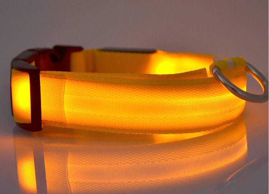 Nylon LED Pet Dog Luminous Collar Night Safety Flashing Glow in Dark Dog Cat Leash Adjustable Pet Supplies 0 - Lazy Paper Club