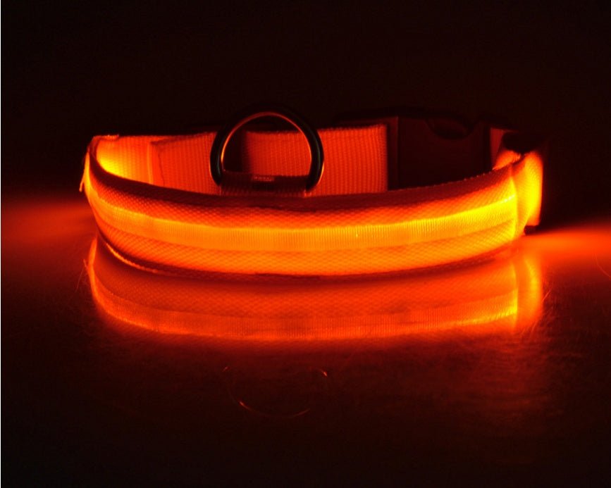Nylon LED Pet Dog Luminous Collar Night Safety Flashing Glow in Dark Dog Cat Leash Adjustable Pet Supplies 0 - Lazy Paper Club