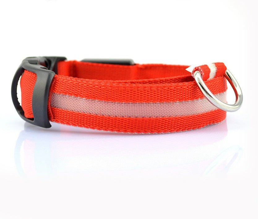 Nylon LED Pet Dog Luminous Collar Night Safety Flashing Glow in Dark Dog Cat Leash Adjustable Pet Supplies 0 - Lazy Paper Club