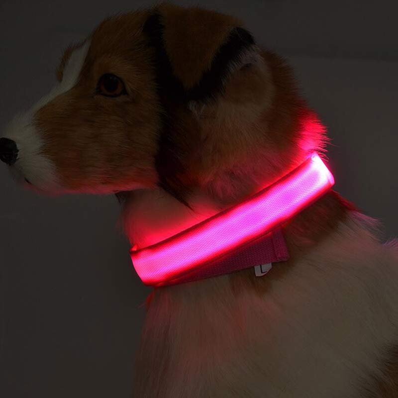 Nylon LED Pet Dog Luminous Collar Night Safety Flashing Glow in Dark Dog Cat Leash Adjustable Pet Supplies 0 - Lazy Paper Club