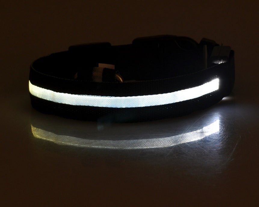 Nylon LED Pet Dog Luminous Collar Night Safety Flashing Glow in Dark Dog Cat Leash Adjustable Pet Supplies 0 - Lazy Paper Club