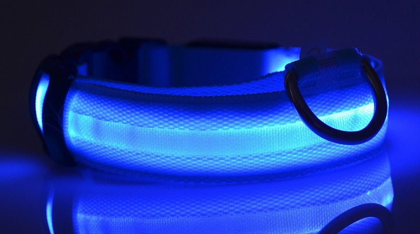 Nylon LED Pet Dog Luminous Collar Night Safety Flashing Glow in Dark Dog Cat Leash Adjustable Pet Supplies 0 - Lazy Paper Club