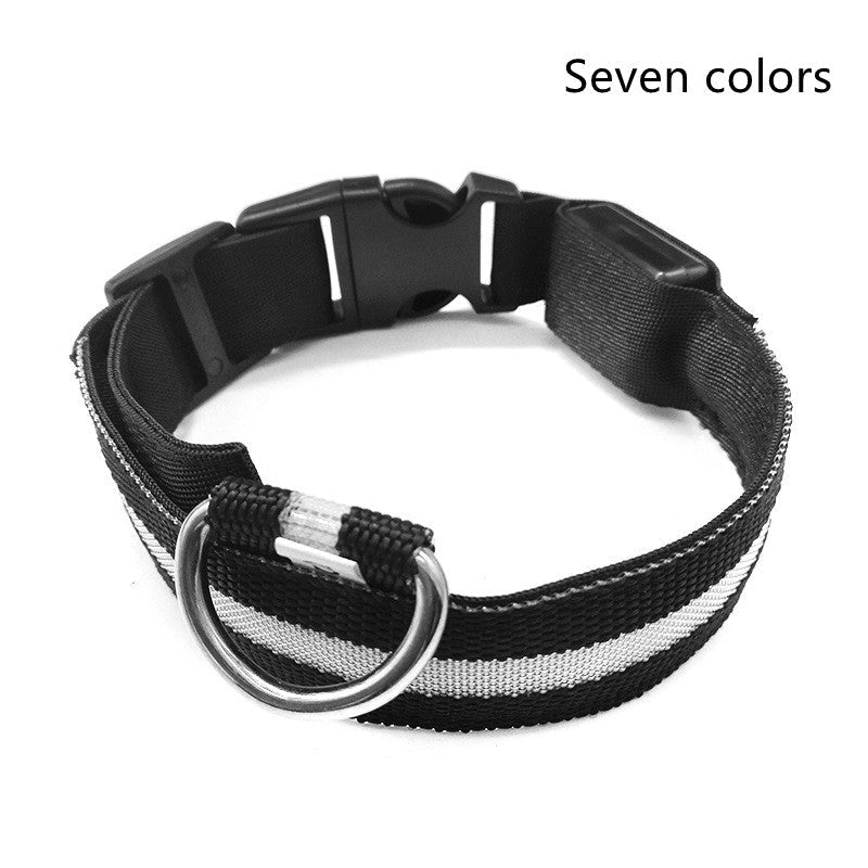 Nylon LED Pet Dog Luminous Collar Night Safety Flashing Glow in Dark Dog Cat Leash Adjustable Pet Supplies 0 - Lazy Paper Club