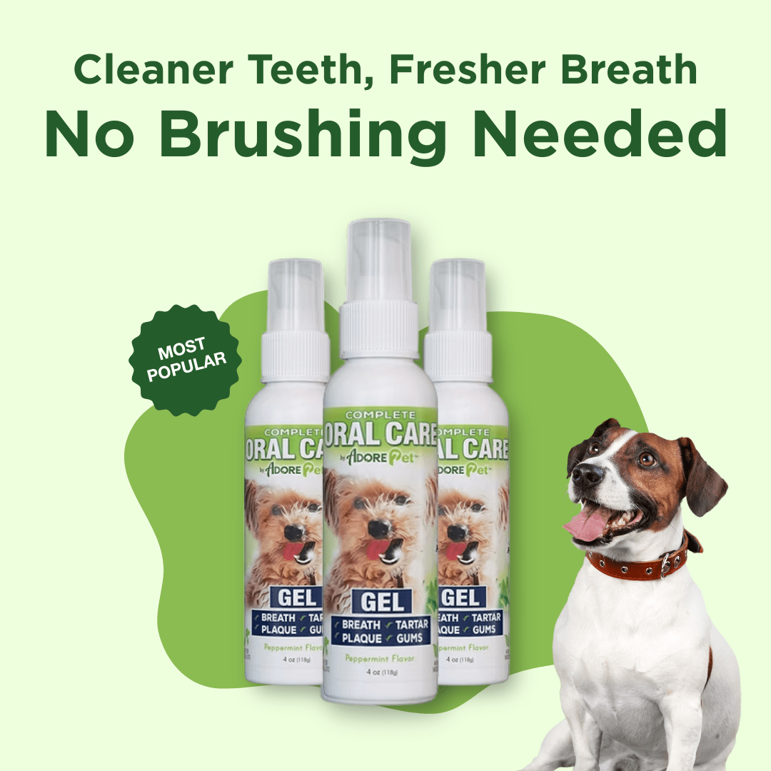 Oral Care Gel - Peppermint - Lazy Paper Club