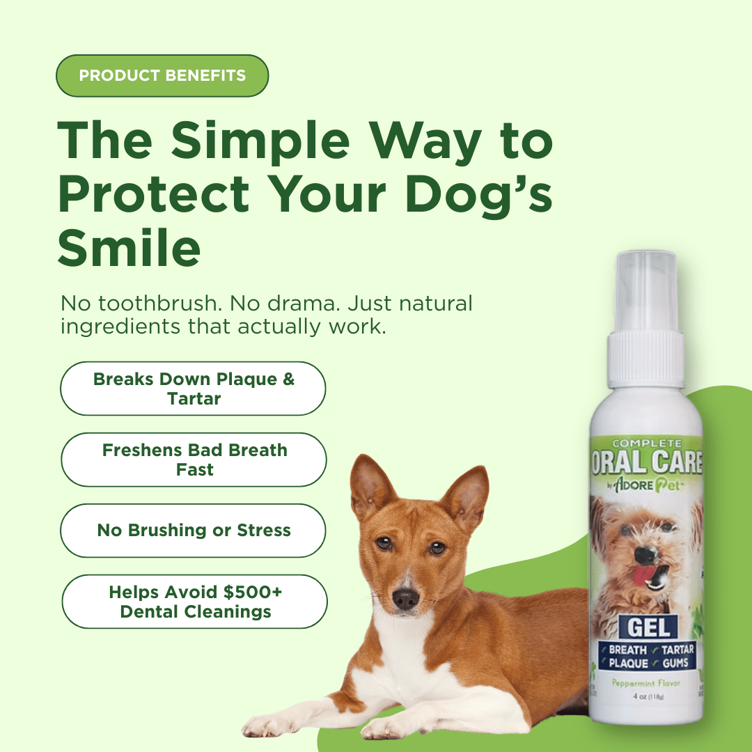 Oral Care Gel - Peppermint - Lazy Paper Club