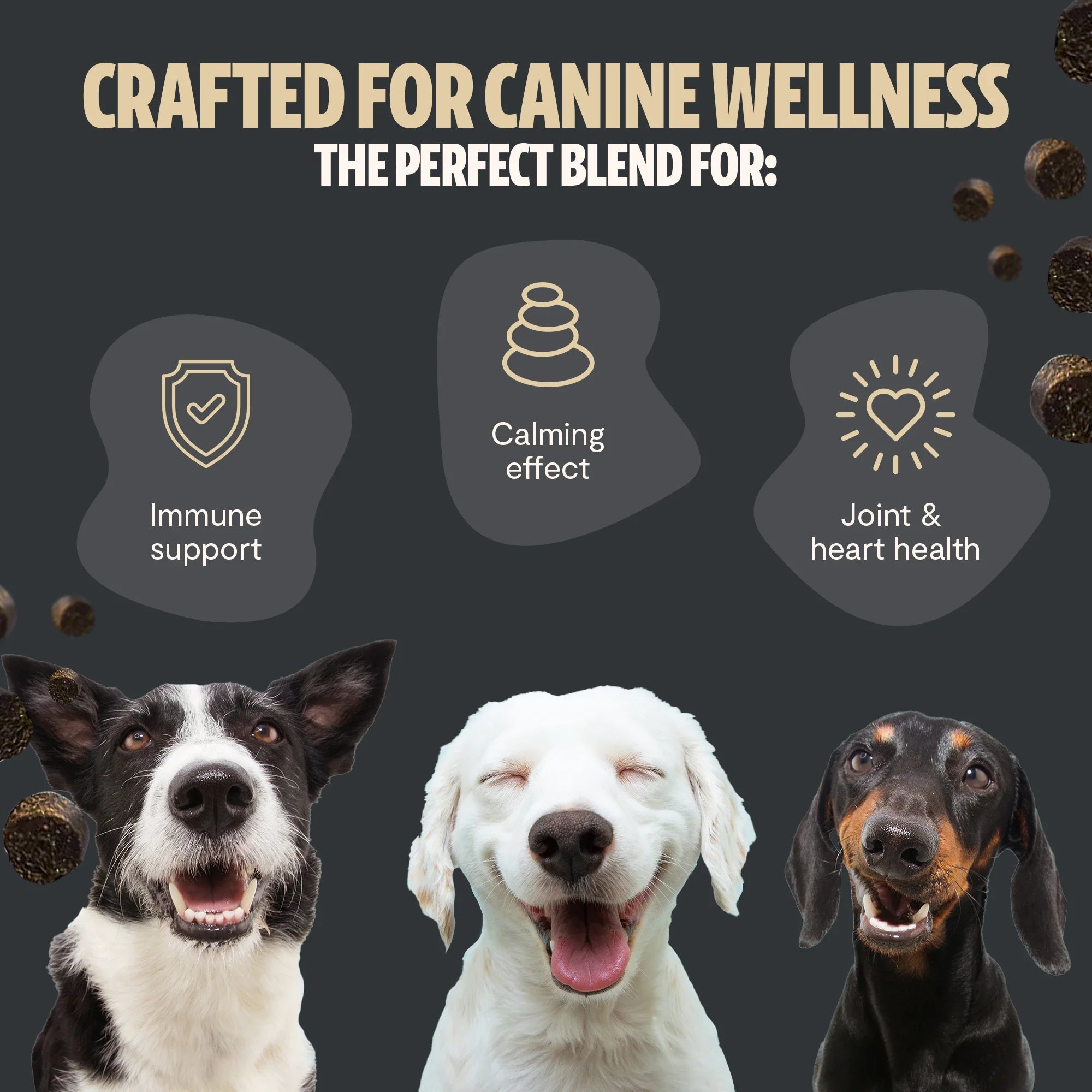 Organic Mushroom Complex for Dogs Pet Treats - Lazy Paper Club
