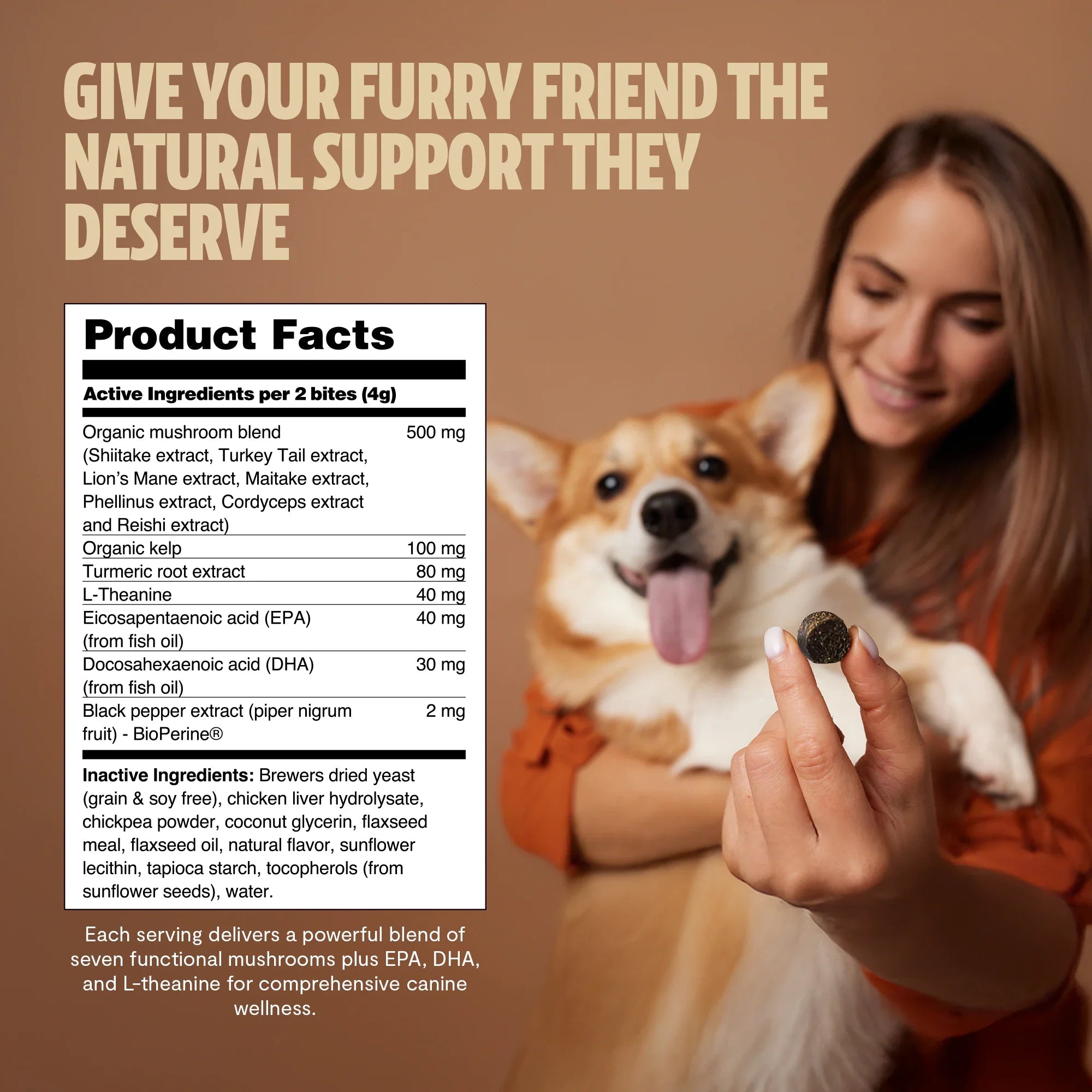 Organic Mushroom Complex for Dogs Pet Treats - Lazy Paper Club