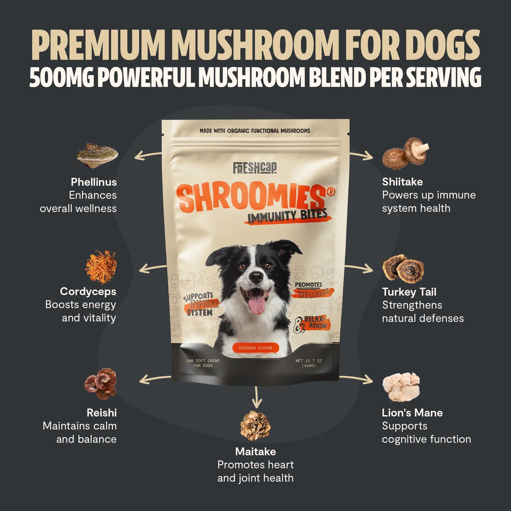 Organic Mushroom Complex for Dogs Pet Treats - Lazy Paper Club