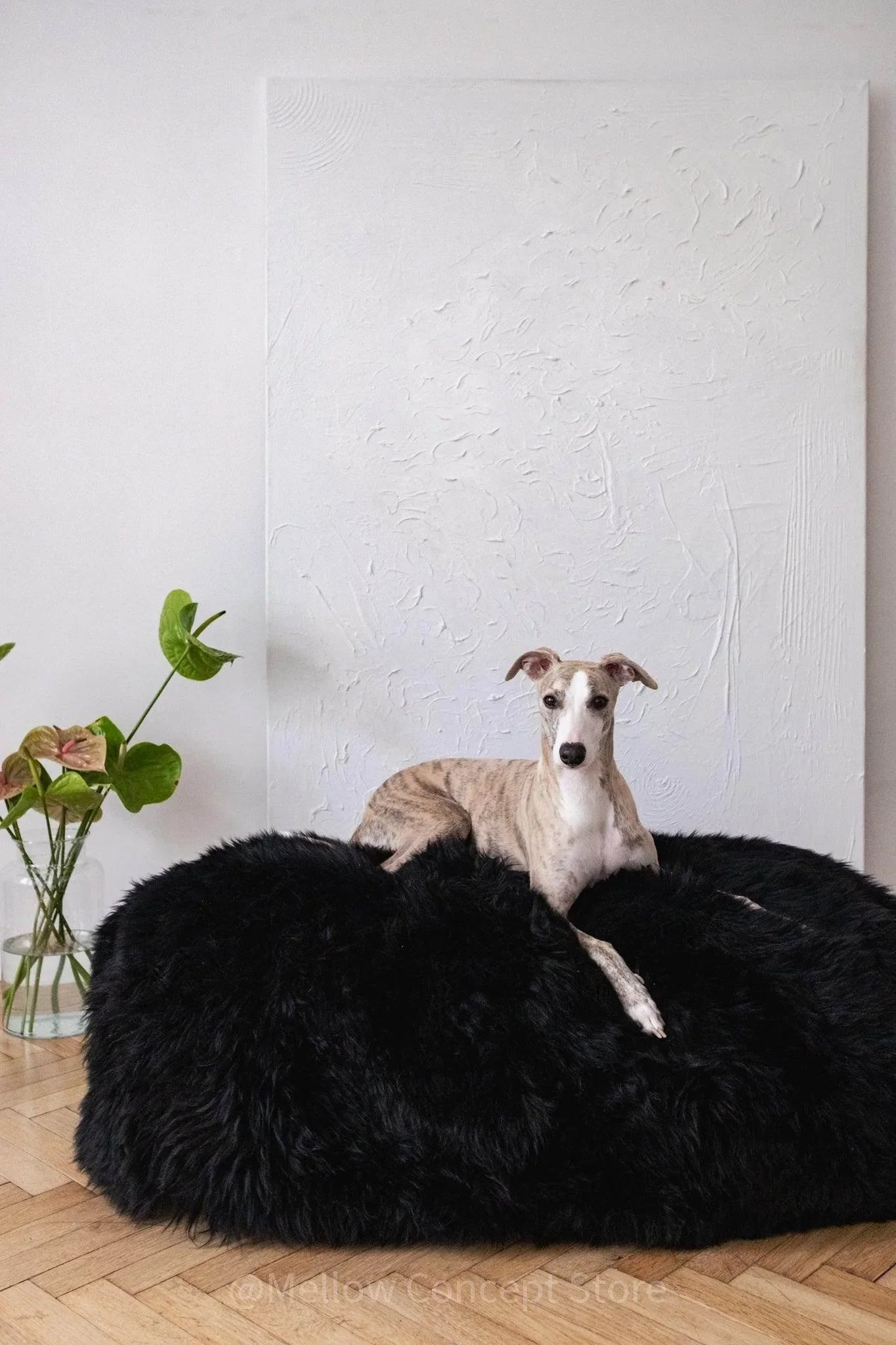 Oval Sheepskin™ Luxury Pet Bed Pet Beds & Blankets - Lazy Paper Club