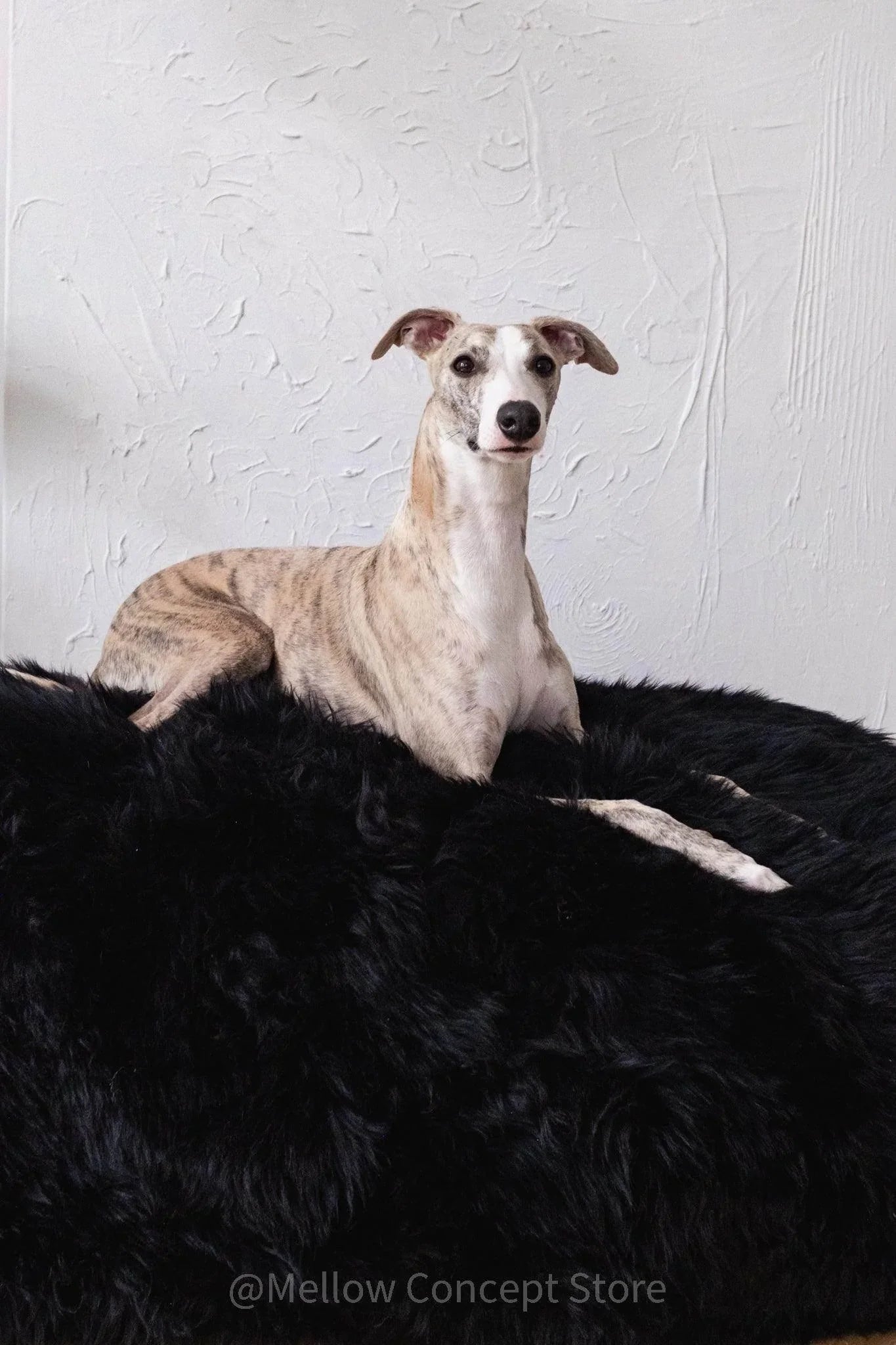 Oval Sheepskin™ Luxury Pet Bed Pet Beds & Blankets - Lazy Paper Club
